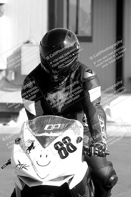 media/Nov-06-2023-Moto Forza (Mon) [[ce023d0744]]/1-Around the Pits/